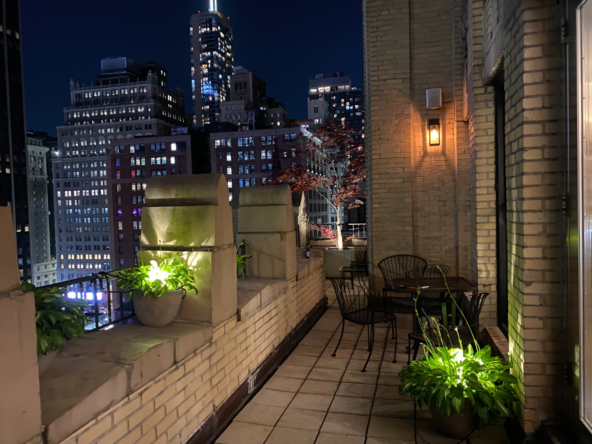 Roof deck Manhattan view